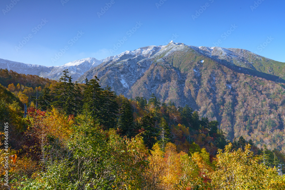 冠雪した十勝岳と紅葉　上富良野八景　北海道観光秋