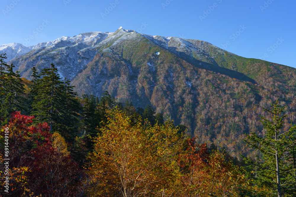 冠雪した十勝岳と紅葉　上富良野八景　北海道観光秋