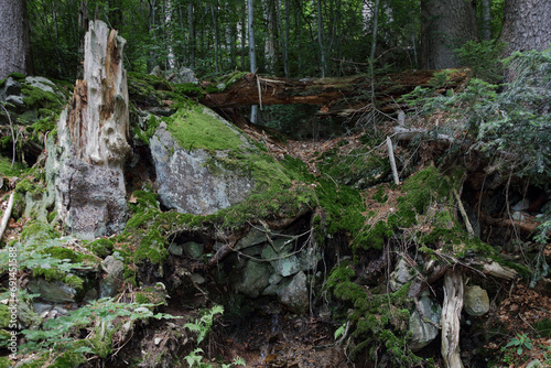 Landschaft Bayern - Bayrischer Wald   Landscape Bavaria - Bavarian Forest  