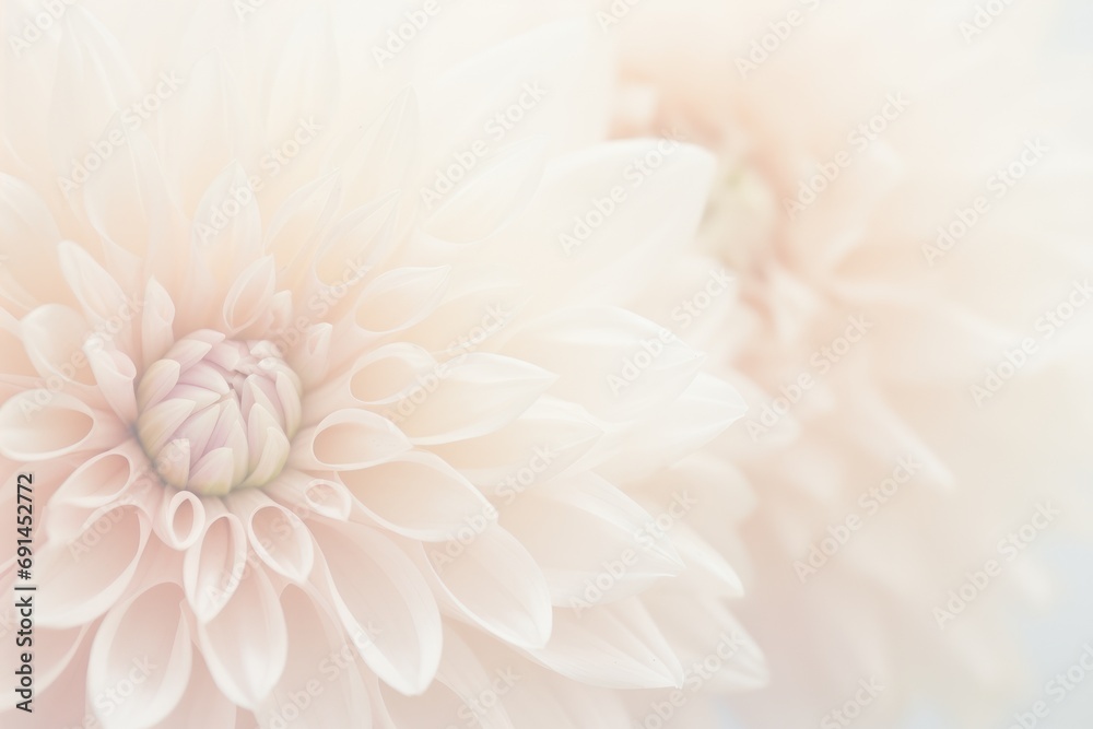 Obraz premium Flowers background in peach color, 2024 year trend
