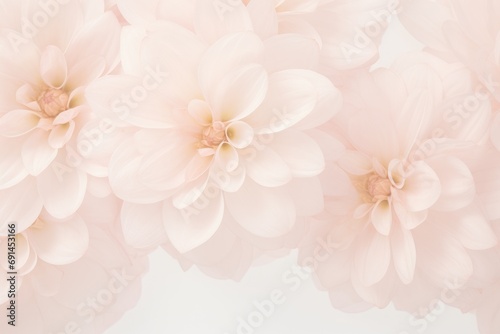 Floral background in peach color, 2024 year trend © Exclusive 