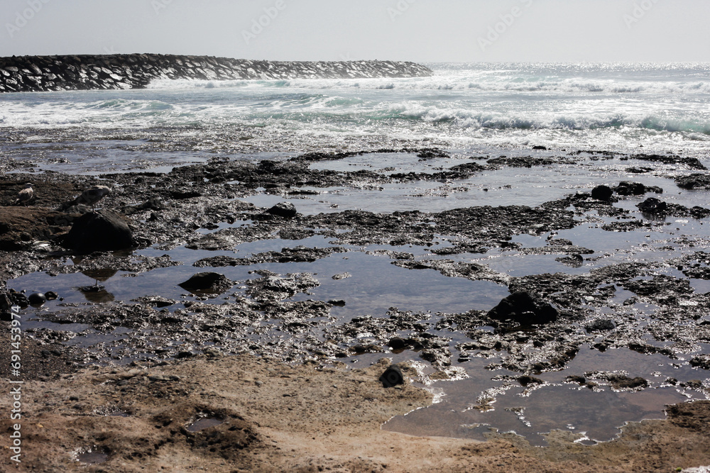 Rocky shore background. Volcanic rock on ocean shore. Tenerife on Canary island landscape. Sea wave crushing. Water white foam. Turbulent ocean background. Rocky shore background. Volcanic rock on ocean shore. Tenerife on Canary island landscape. Sea wave crushing. Water white foam. Turbulent ocean background.