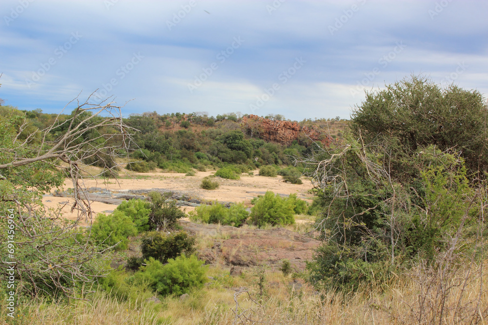 Timbavati River / Timbavati River / Timbavati River / Timbavati River /