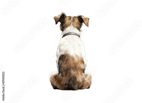 Rear image of dog sitting with his back isolated on transparent background