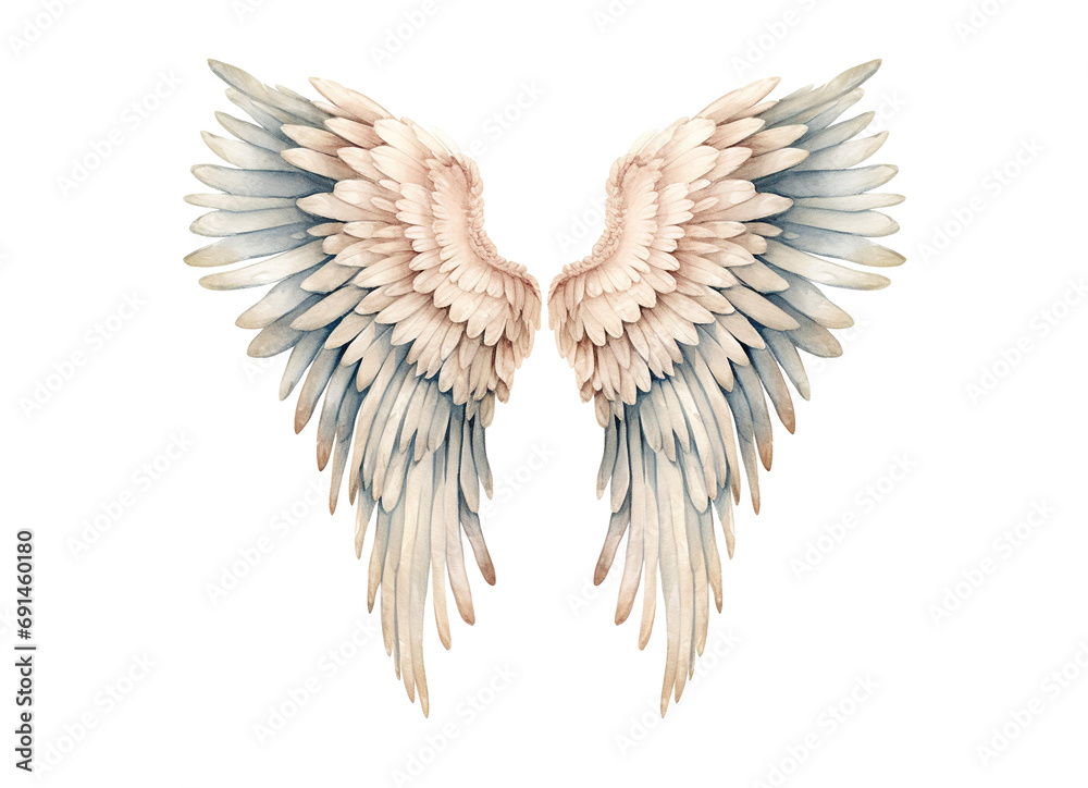 Fototapeta premium White angel wings isolated on transparent background