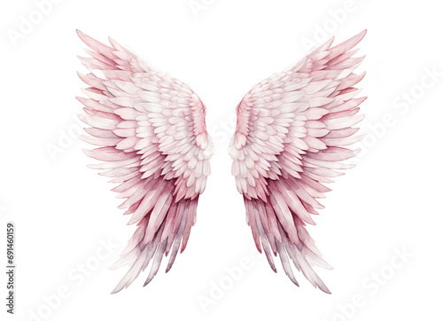Pink angel wings isolated on transparent background