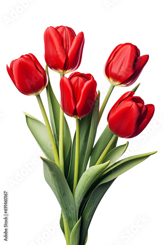 Fresh spring red tulips. Flowers bouquet isolated on white background