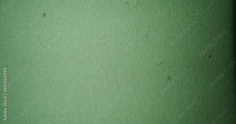 Green 8mm film overlay with dirt and scratches