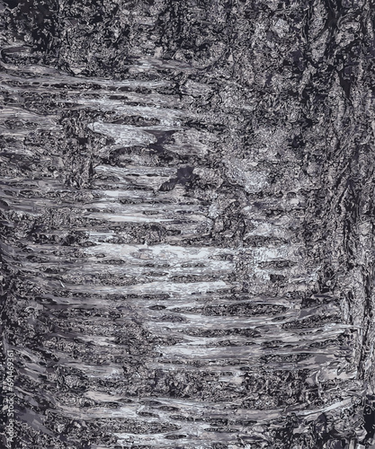 Vector illustration of Sakura or Prunus serrulata bark close-up. The texture of the trunk of Sakura. Background from living wood. Forest nature skin.
 photo