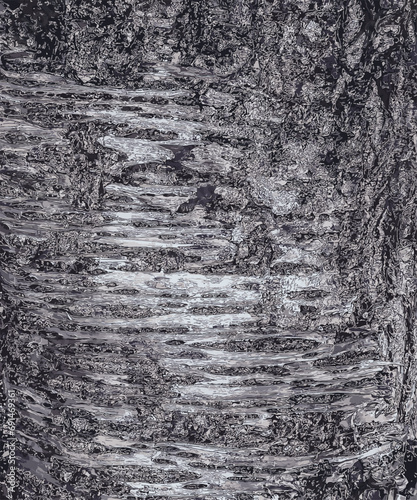 Vector illustration of Sakura or Prunus serrulata bark close-up. The texture of the trunk of Sakura. Background from living wood. Forest nature skin.
