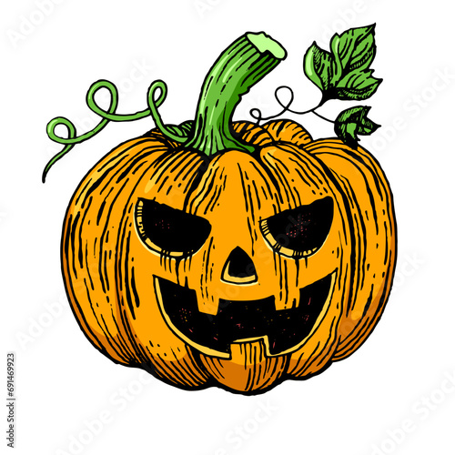 Halloween pumpkin jack o lantern engraving sketch style hand drawn color vector illustration. Jack o lantern. Scratch board style imitation. Hand drawn image.