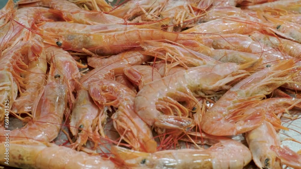 Fresh shrimps on a counter at seafood market in Athens, Greece. Open shelf with prawns at fish market. Close up