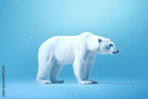 Polar bear poster  isolated on blue background