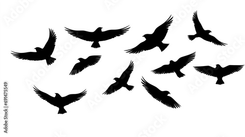 A Mesmerizing Display of Birds in Flight