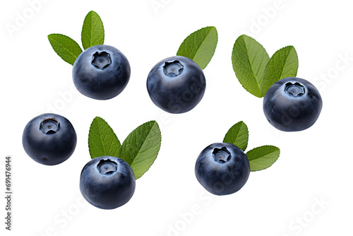 Blueberry Symphony On Transparent Background