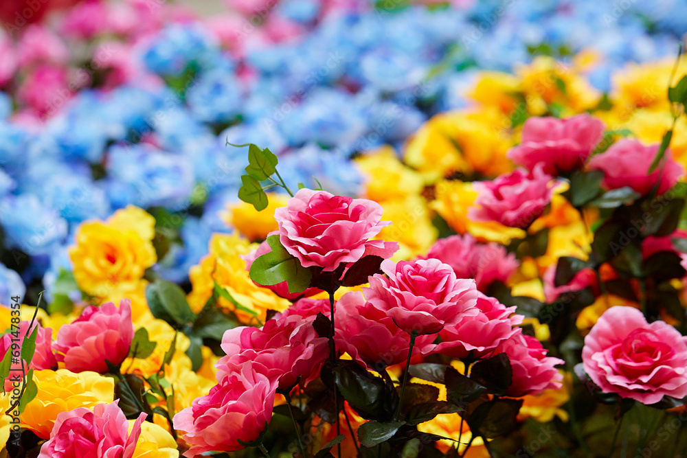 flowers in the garden