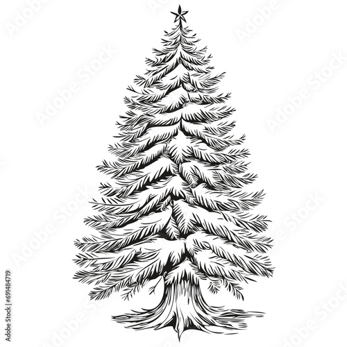 Christmas Tree Sketch for Greeting Card Vintage Engraving, Festive Artwork Conceptualization for the Season, black white isolated Vector ink outlines template for greeting card