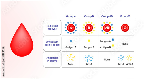 Blood donation background. Abo Blood Group Concept Design. ABO Blood groups. four blood types, A,B, AB and O groups, made up from combinations of the type A and type B antigens. Vector Illustration.