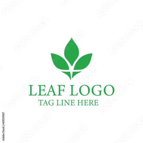 Leaf logo design vector 