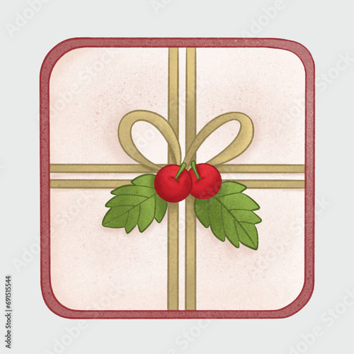 Christmas Decorated Cookies, gift