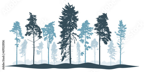 Wallpaper Mural Winter landscape, silhouette of coniferous forest, beautiful pines and spruce trees. Vector illustration Torontodigital.ca