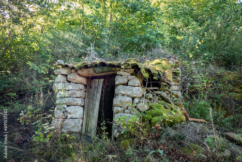 Ruínas de uma pequena casa abandonada a meio de uma verde floresta photo