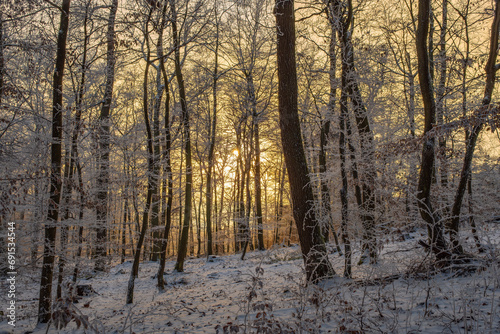 View of a sunset through the snowy forest in the Taunus near Bad Schwalbach/Germany