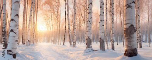 Golden hour in a snowy birch forest, winter landscape photo