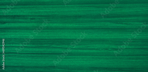 abstract green walnut wooden texture with horizontal veins. luxury material wood texture background. lining boards wall. dried planks show beautiful wooden grain. wood painted with bright green paint.