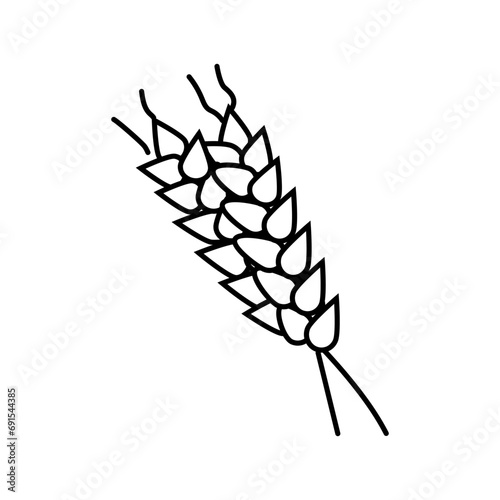 spikelets ripe wheat line icon vector. spikelets ripe wheat sign. isolated contour symbol black illustration