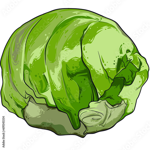 cabbage