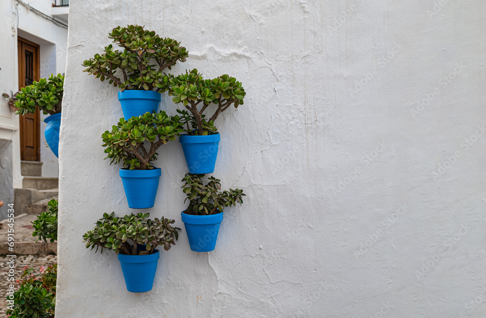 Blue pots with green plants stand out against a white wall in an old Andalusian village.