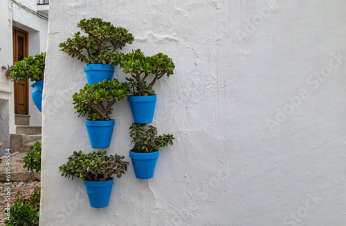 Blue pots with green plants stand out against a white wall in an old Andalusian village. © Paolo Corazza