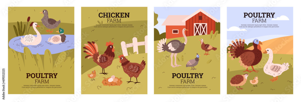 Poultry and raising birds for meat and eggs, banners flat vector illustration.