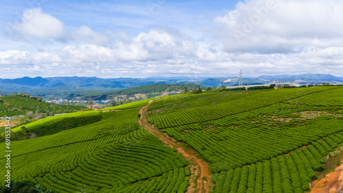 Beautiful landscape in the morning at Cau Dat, Da Lat city, Lam Dong province. Wind power on tea hill, morning scenery on the hillside of tea planted © CravenA