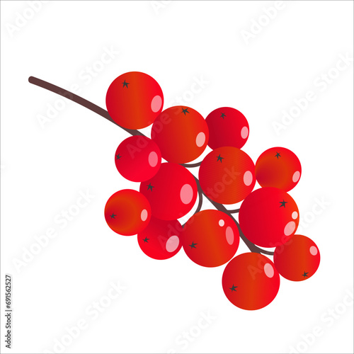 Juicy red berries on a branch for Christmas decor. Vector volumetric drawing