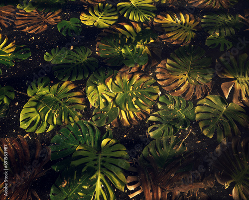Fototapeta Naklejka Na Ścianę i Meble -  Water surface covered in green and brown palm tree leaves.