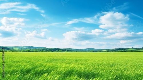 Green grass field landscape  and blue sky background