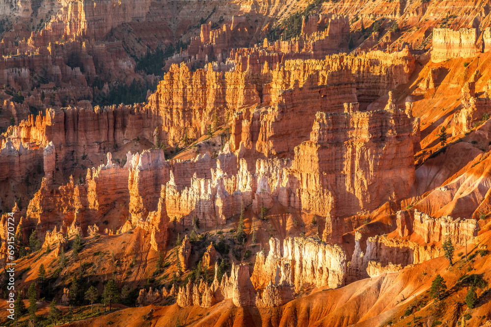 The amphitheater in the Bryce Canyon Nationa Park at sunrise