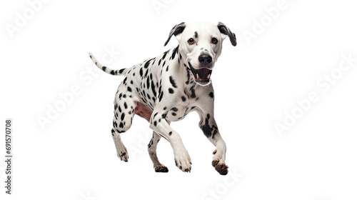  a Dalmatian running in a 3 4 view  PNG   isolated and transparent Pet-themed  photorealistic illustration. Generative ai