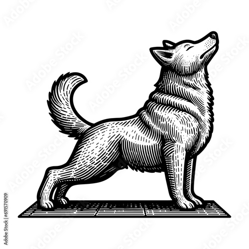 dog doing yoga stretching vector sketch