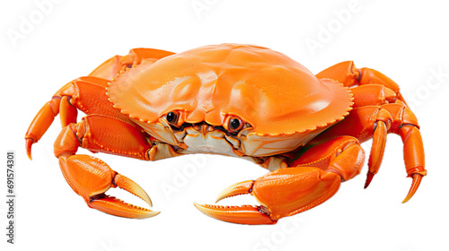 a Crab, side front view, in a PNG, in an Aquatic-themed, isolated, and transparent photorealistic illustration. Generative ai photo