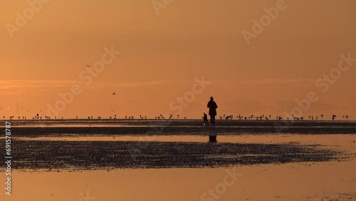 Frau geht bei Sonnenuntergang mit Hund im Wattenmeer spazieren, Ebbe, Watvögel im Hintergrund photo
