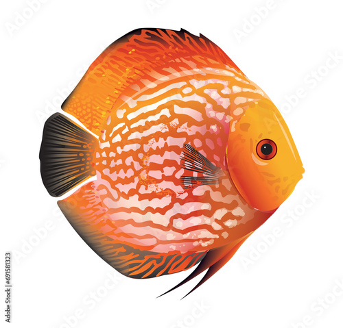 Diskusfish