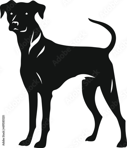 Furious Pet Dog Silhouette: A fierce and dynamic canine outline, capturing the intensity and determination of a furious four-legged companion