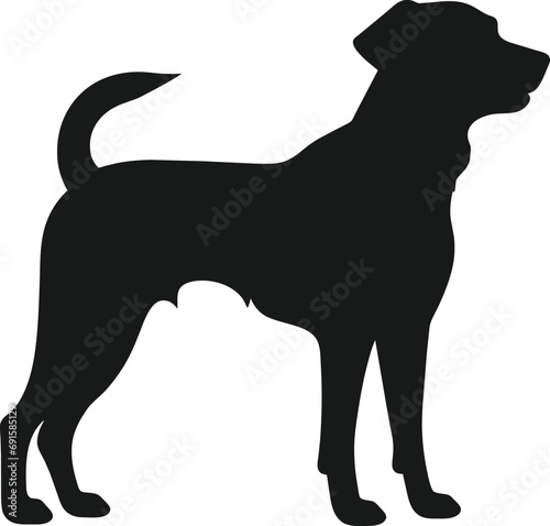 Furious Pet Dog Silhouette: A fierce and dynamic canine outline, capturing the intensity and determination of a furious four-legged companion