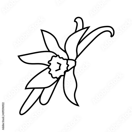 vanilla food herb line icon vector. vanilla food herb sign. isolated contour symbol black illustration
