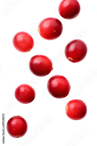 Falling cranberry fruits on a transparent background