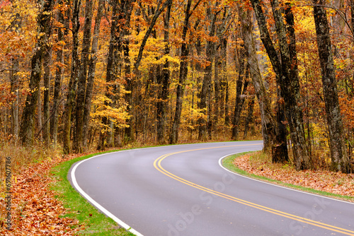 Skyline Drive Curvy Road with Fall Foliage in Shenandoah National Park (ID: 691607786)
