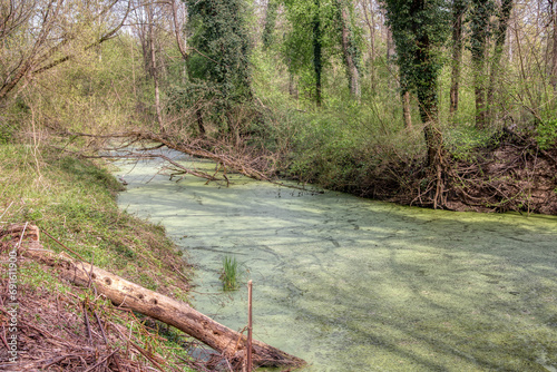 Bobri, Dolnja Bistrica is a meander from river Mura photo